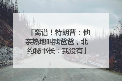 离谱！特朗普：他亲热地叫我爸爸，北约秘书长：我没有