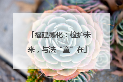福建德化：检护未来，与法“童”在