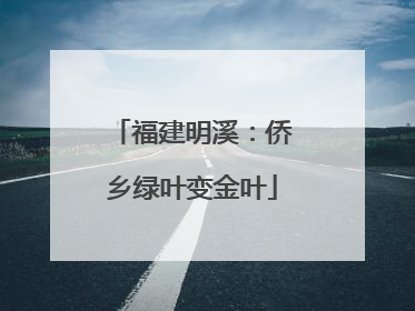 福建明溪：侨乡绿叶变金叶