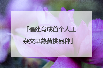 福建育成首个人工杂交早熟黄桃品种