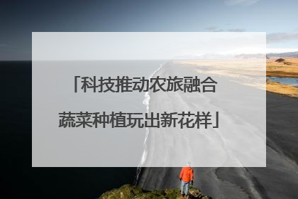 科技推动农旅融合 蔬菜种植玩出新花样