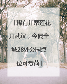 稀有并蒂莲花开武汉，今夏全城28处公园点位可赏荷