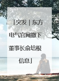 突发｜东方电气官网撤下董事长俞培根信息