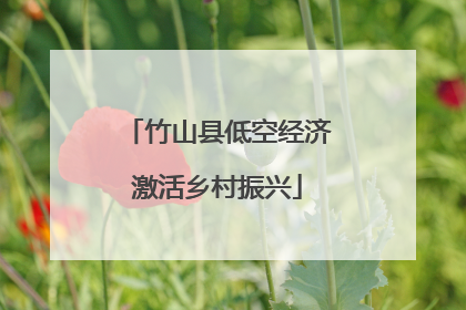 竹山县低空经济激活乡村振兴