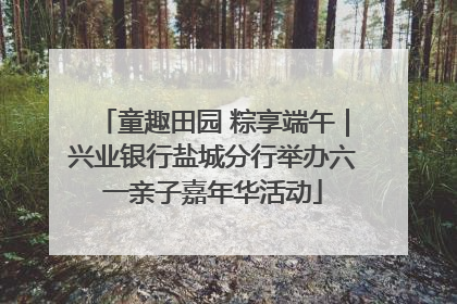 童趣田园 粽享端午｜兴业银行盐城分行举办六一亲子嘉年华活动