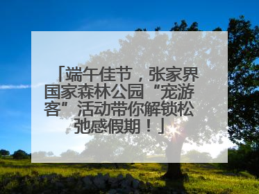 端午佳节，张家界国家森林公园“宠游客”活动带你解锁松弛感假期！