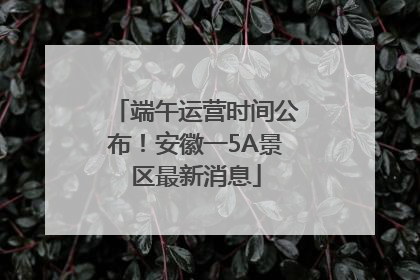 端午运营时间公布！安徽一5A景区最新消息