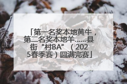 第一名奖本地黄牛，第二名奖本地羊……县街“村BA”（2025春季赛）圆满完赛