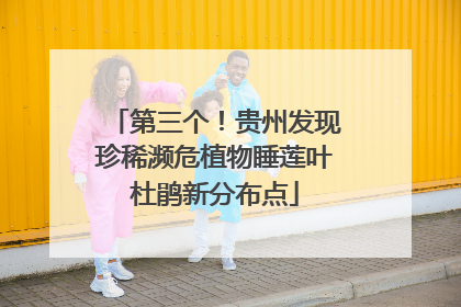 第三个！贵州发现珍稀濒危植物睡莲叶杜鹃新分布点