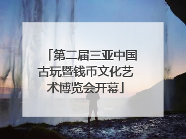 第二届三亚中国古玩暨钱币文化艺术博览会开幕