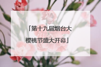 第十九届烟台大樱桃节盛大开幕