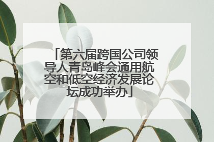 第六届跨国公司领导人青岛峰会通用航空和低空经济发展论坛成功举办