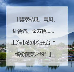 翡翠桔瓜、雪贝、红铃铛、金寿桃……上海市农科院开启“缤纷蔬菜之约”