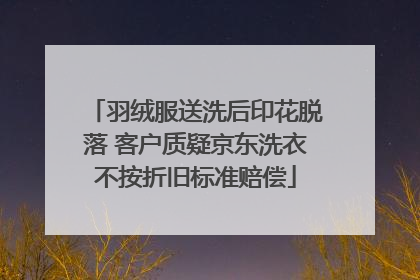 羽绒服送洗后印花脱落 客户质疑京东洗衣不按折旧标准赔偿