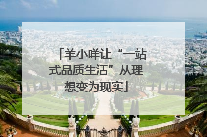 羊小咩让“一站式品质生活”从理想变为现实