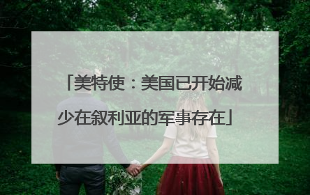 美特使：美国已开始减少在叙利亚的军事存在