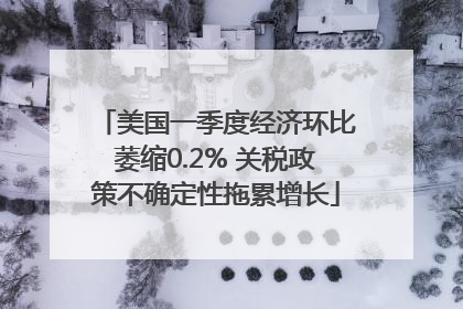 美国一季度经济环比萎缩0.2% 关税政策不确定性拖累增长