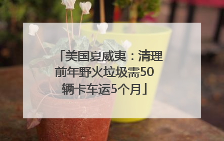 美国夏威夷：清理前年野火垃圾需50辆卡车运5个月