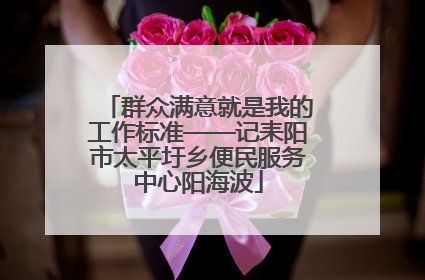 群众满意就是我的工作标准——记耒阳市太平圩乡便民服务中心阳海波