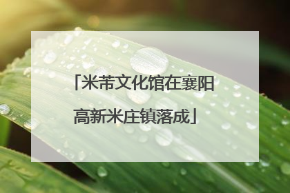米芾文化馆在襄阳高新米庄镇落成