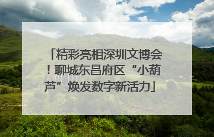 精彩亮相深圳文博会！聊城东昌府区“小葫芦”焕发数字新活力
