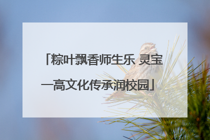 粽叶飘香师生乐 灵宝一高文化传承润校园