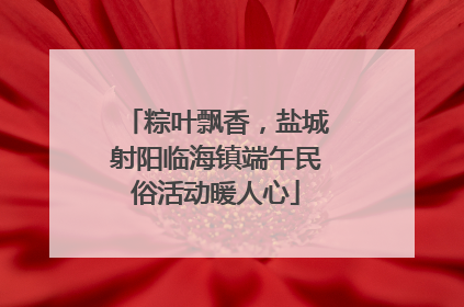 粽叶飘香，盐城射阳临海镇端午民俗活动暖人心