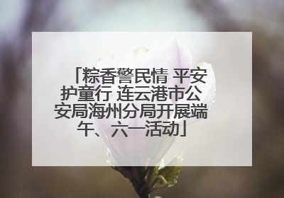 粽香警民情 平安护童行 连云港市公安局海州分局开展端午、六一活动