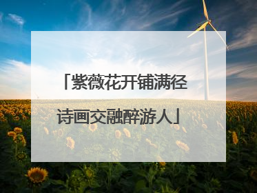 紫薇花开铺满径 诗画交融醉游人