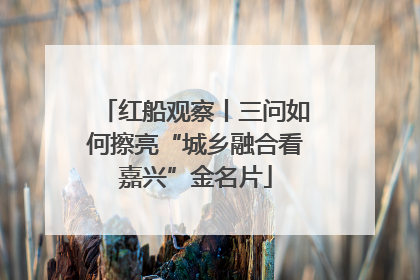 红船观察丨三问如何擦亮“城乡融合看嘉兴”金名片