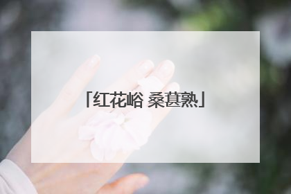 红花峪 桑葚熟