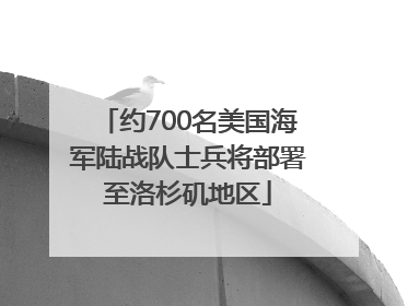 约700名美国海军陆战队士兵将部署至洛杉矶地区