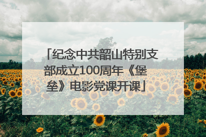 纪念中共韶山特别支部成立100周年《堡垒》电影党课开课