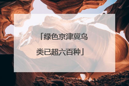 绿色京津冀鸟类已超六百种