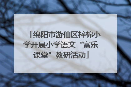 绵阳市游仙区梓棉小学开展小学语文“富乐课堂”教研活动