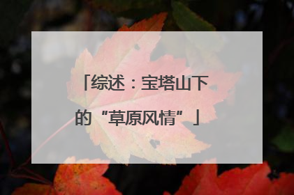 综述：宝塔山下的“草原风情”