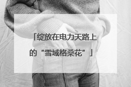 绽放在电力天路上的“雪域格桑花”