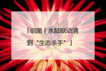 组图｜水陆联动清剿“生态杀手”