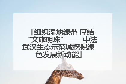 细织湿地绿带 厚结“文旅明珠”——中法武汉生态示范城挖掘绿色发展新动能