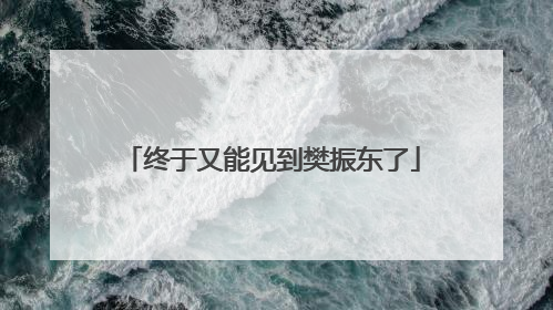 终于又能见到樊振东了