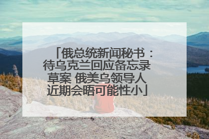 俄总统新闻秘书：待乌克兰回应备忘录草案 俄美乌领导人近期会晤可能性小