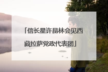 信长星许昆林会见西藏拉萨党政代表团
