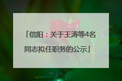信阳：关于王涛等4名同志拟任职务的公示