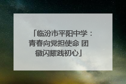 临汾市平阳中学：青春向党担使命 团徽闪耀践初心
