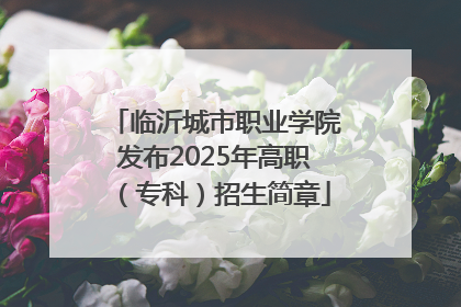 临沂城市职业学院发布2025年高职（专科）招生简章