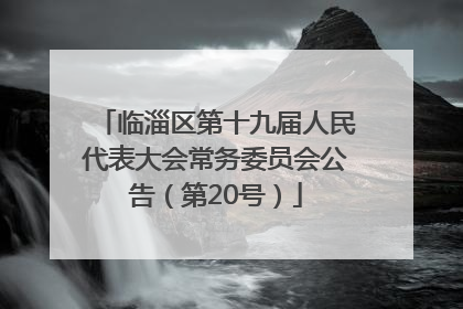 临淄区第十九届人民代表大会常务委员会公告（第20号）