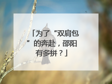 为了“双肩包”的奔赴，邵阳有多拼？