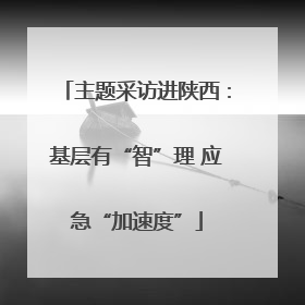 主题采访进陕西：基层有“智”理 应急“加速度”