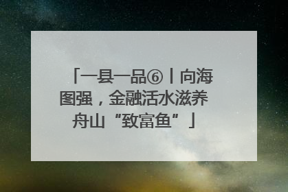 一县一品⑥丨向海图强，金融活水滋养舟山“致富鱼”