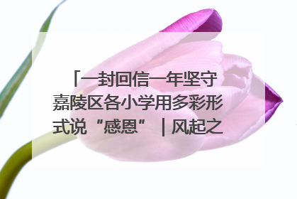 一封回信一年坚守 嘉陵区各小学用多彩形式说“感恩”｜风起之江 扶摇直上